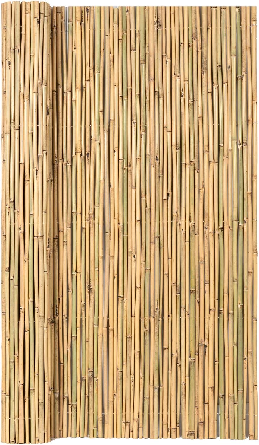 Natural Rolled Bamboo Fence, 0.7 in D x 6 feet High x 8 feet Long L38629