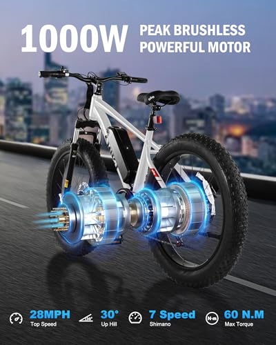 26x4.0 Fat Tire Electric Mountain Bike with 48V 13AH Battery R118