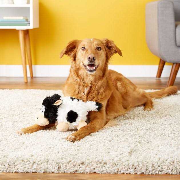 Barnyard Cruncheez Cow Dog Toy R24468