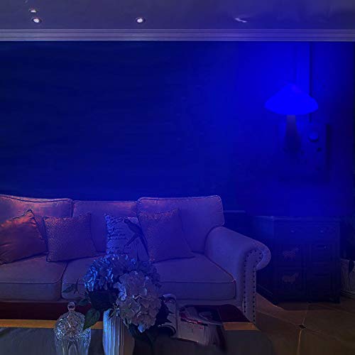 5Pack Sensor LED Night Light Plug in Mushroom Light G724