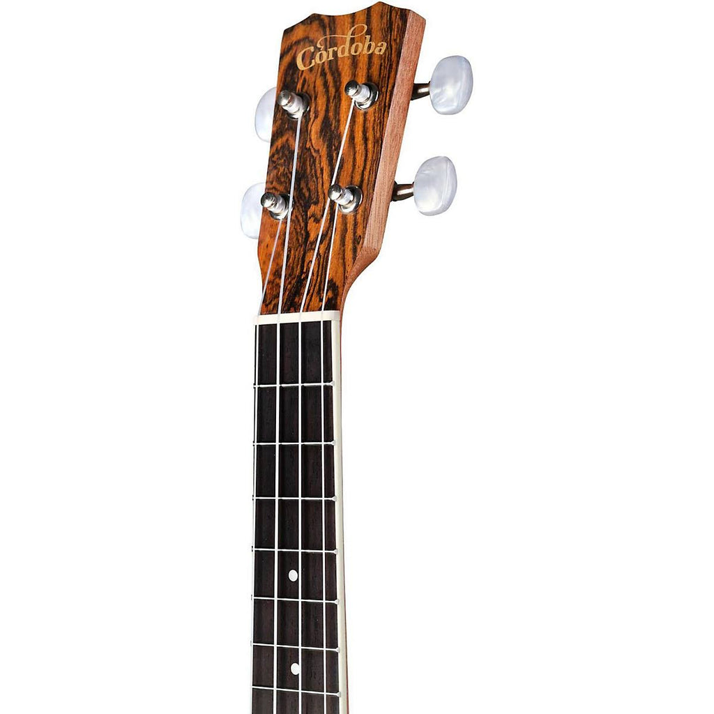 Natural Tenor Acoustic-Electric Ukulele R8460