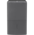 Dehumidifier with Built in Pump L603