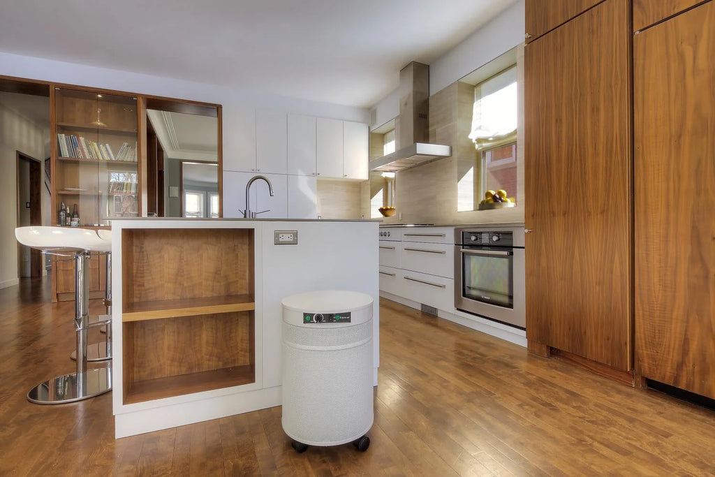 Air Purifier S239