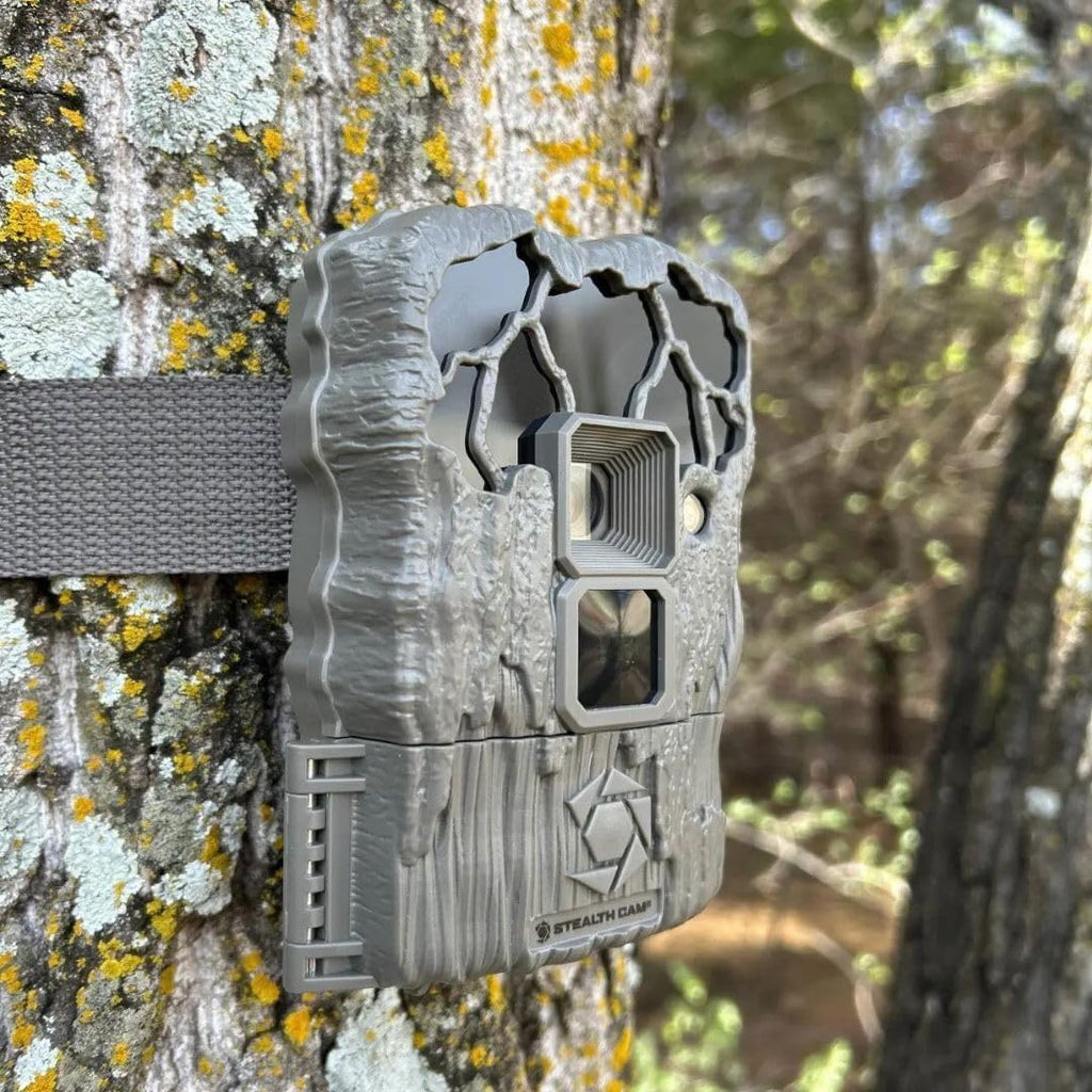 24MP Trail Camera - 2 Pack L2071