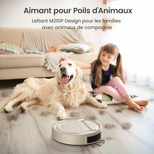 Robot Vacuum with 12000Pa Suction, Anti-Tangle Brushes, Self-Emptying Z25971