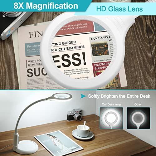 5X Magnifying Glass with Light and Clamp, Flexible Gooseneck LED Desk Lamp F463287