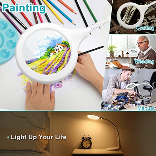 5X Magnifying Glass with Light and Clamp, Flexible Gooseneck LED Desk Lamp F463287