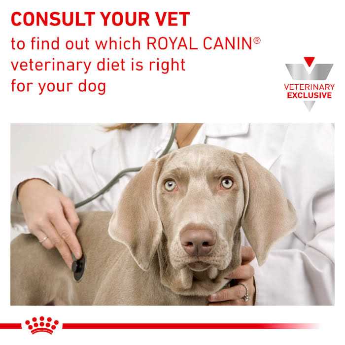 Veterinary Diet Renal Support T Wet Dog Food L623465