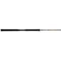 Spinning Fishing Rod S28874