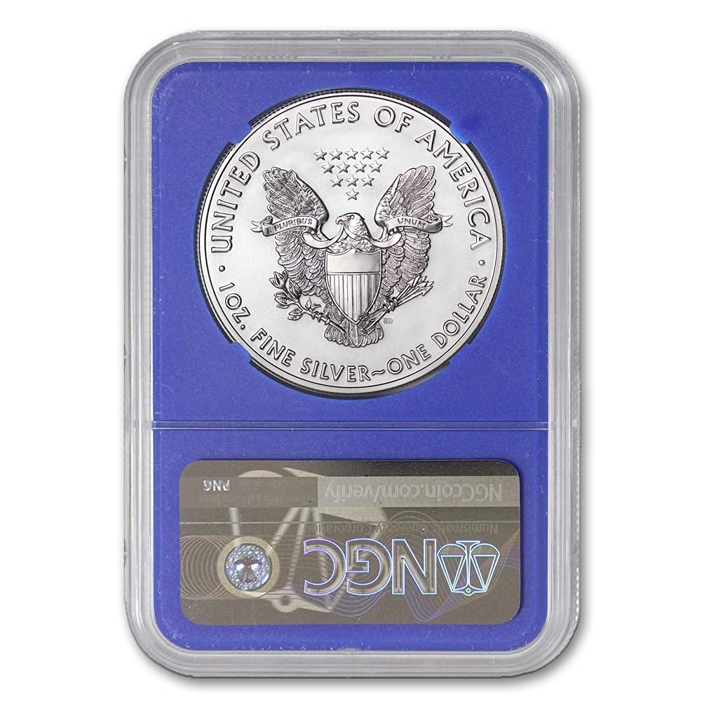 1 oz American Silver Eagle Coin MS70 E9904