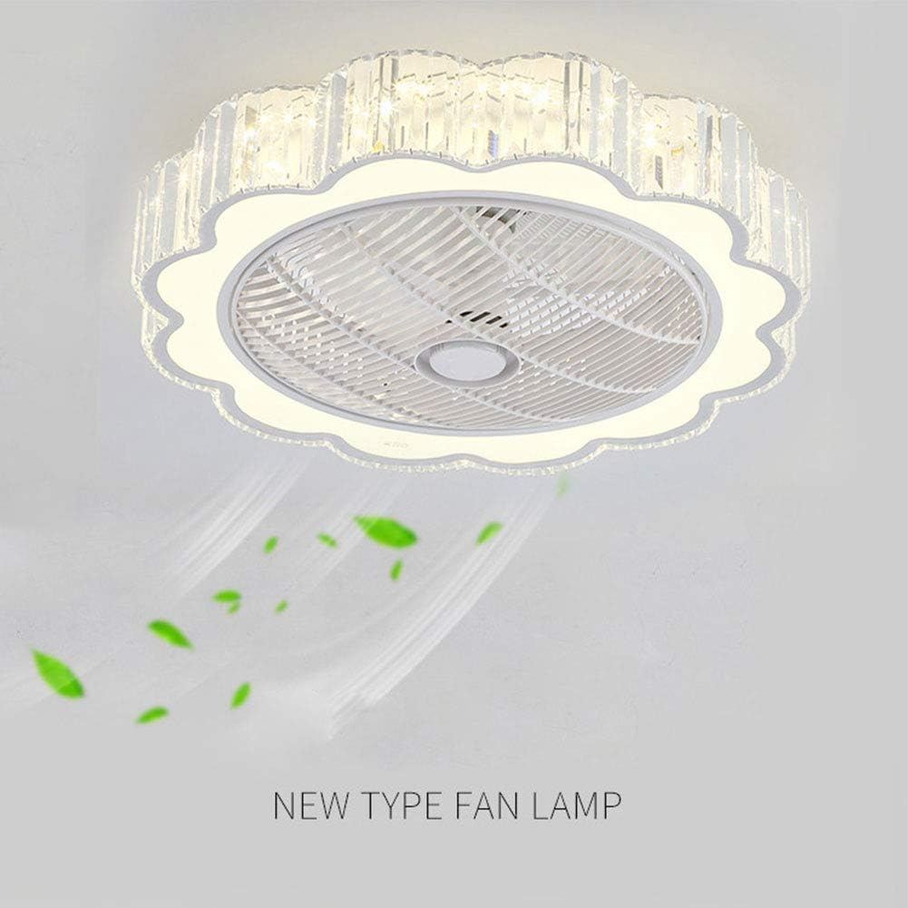 23" Ceiling Fan with Lights, Acrylic LED Ceiling Fan with Remote Control White G576