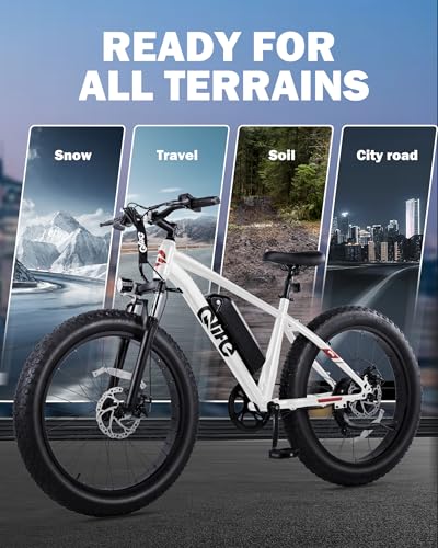 26x4.0 Fat Tire Electric Mountain Bike with 48V 13AH Battery R118