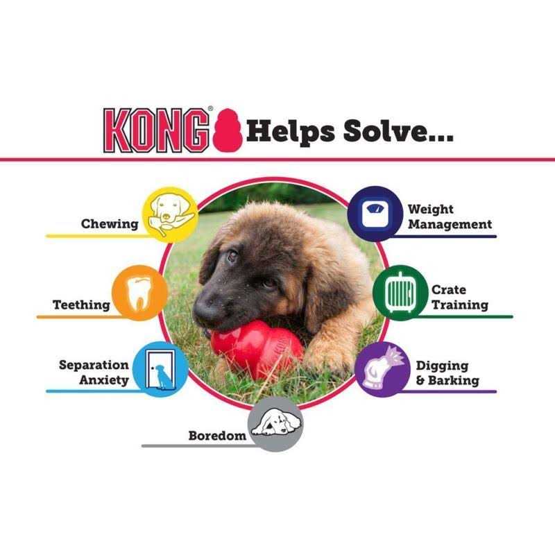 Senior Dog Toy C581596