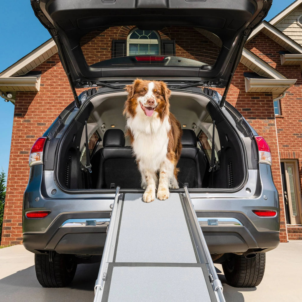 Telescoping Pet Ramp B702
