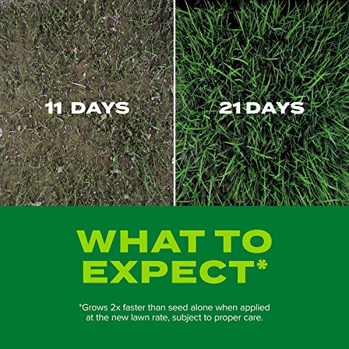 5.6 lbs Tall Fescue Grass Seed and Fertilizer Mix C941385