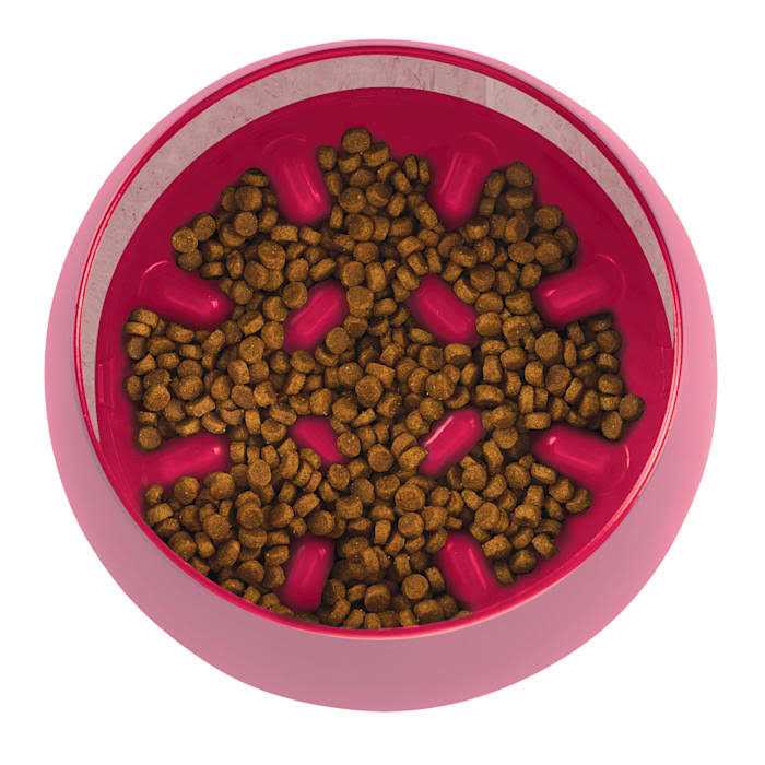 Burgundy Rocking Interactive Slow Feeder Dog Bowl V98299