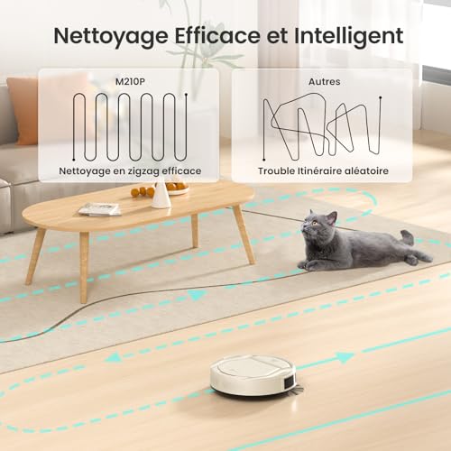 Robot Vacuum with 12000Pa Suction, Anti-Tangle Brushes, Self-Emptying Z25971