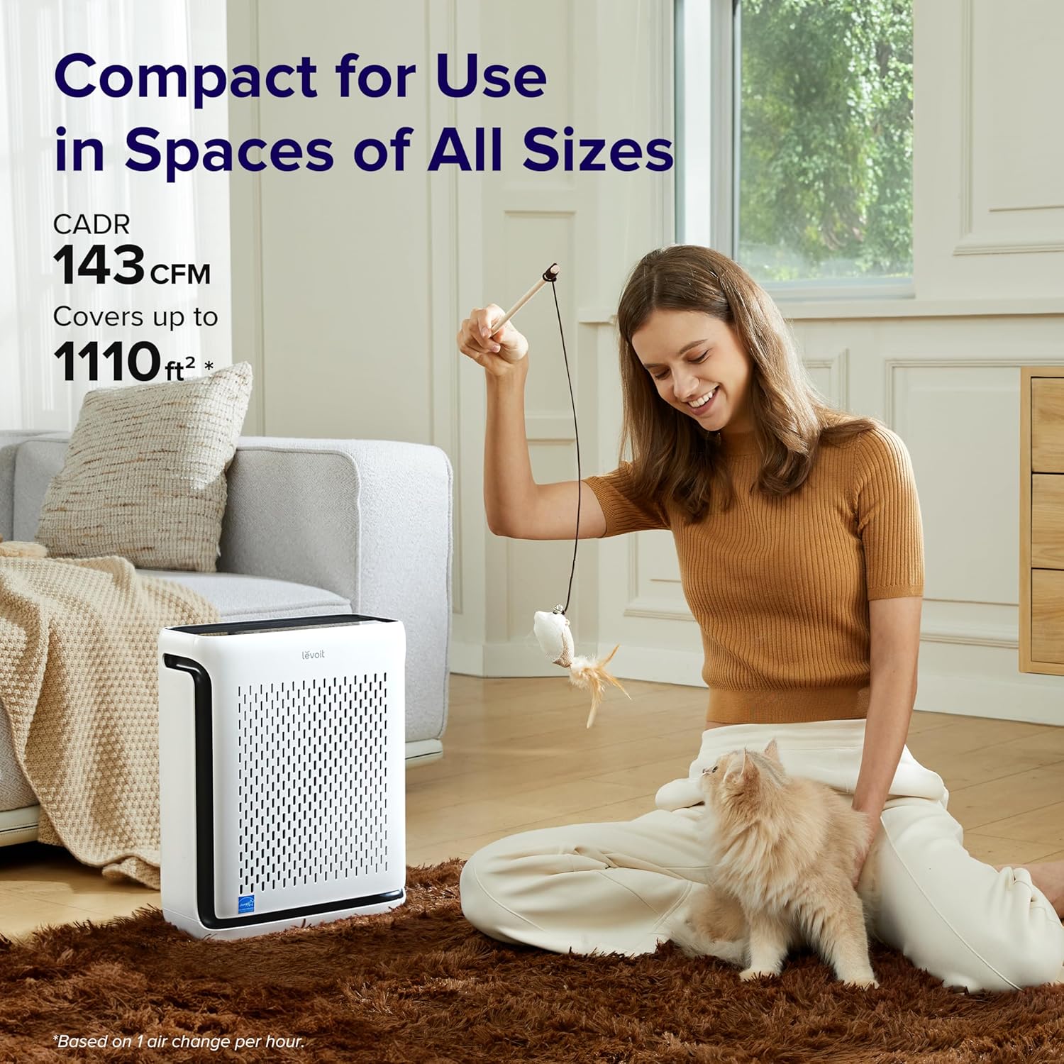 Air Purifier and Replacement Filter Z605452