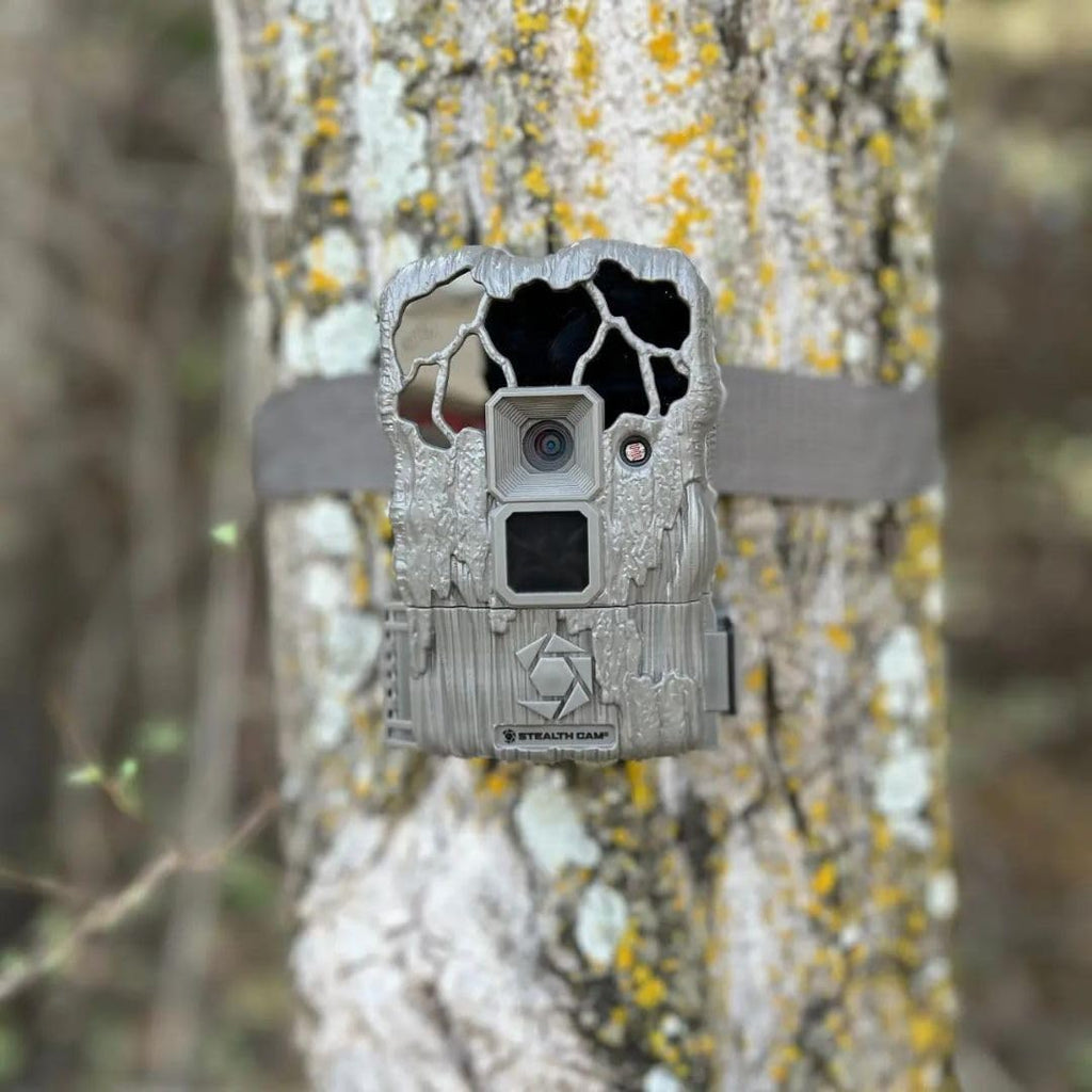 24MP Trail Camera - 2 Pack L2071