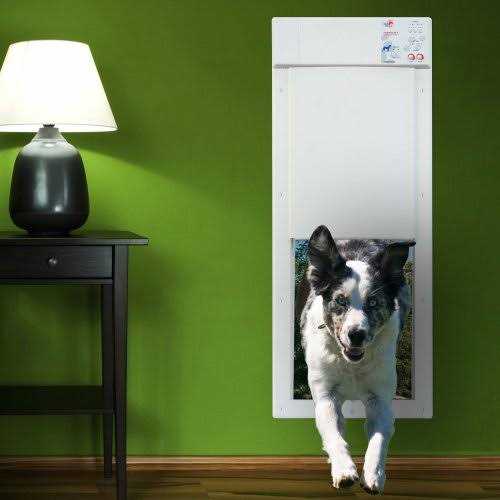 Motorized Pet Door F35099