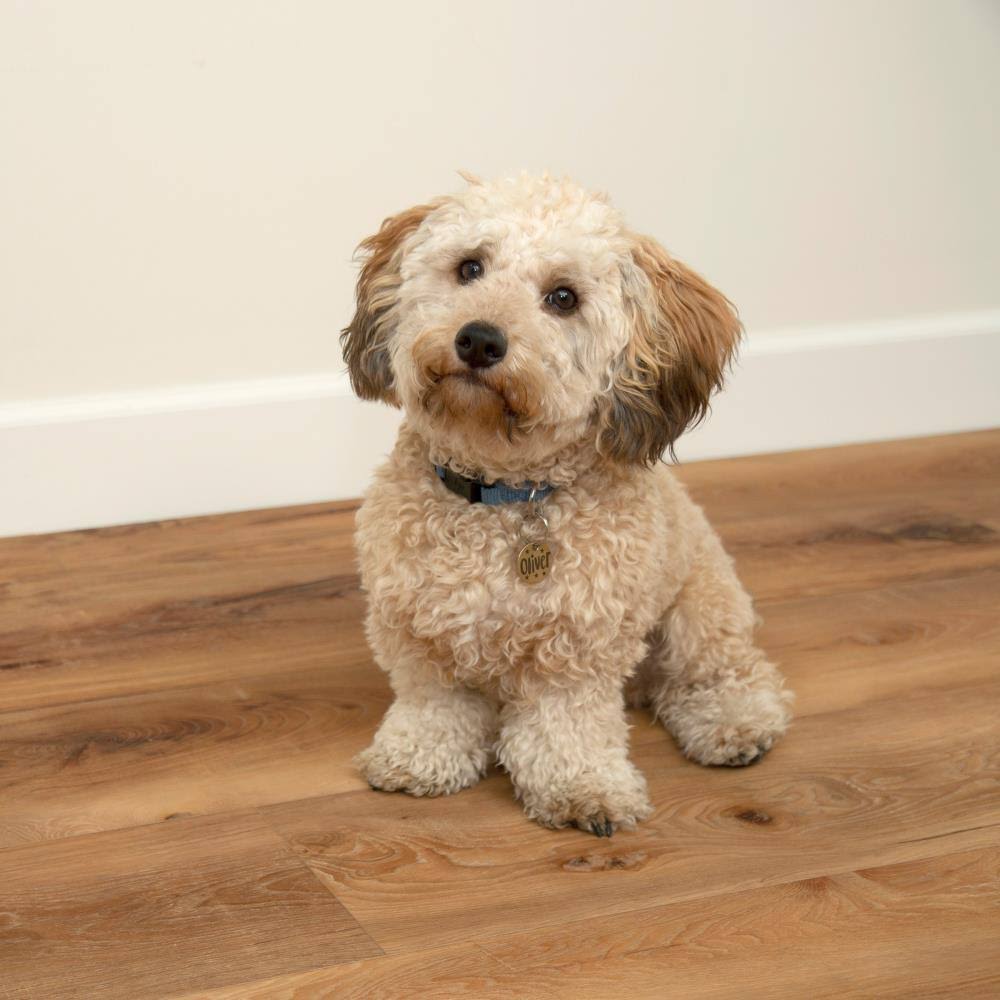 Gold Waterproof Interlocking Luxury Vinyl Flooring (26.62-Sq ft) W618642