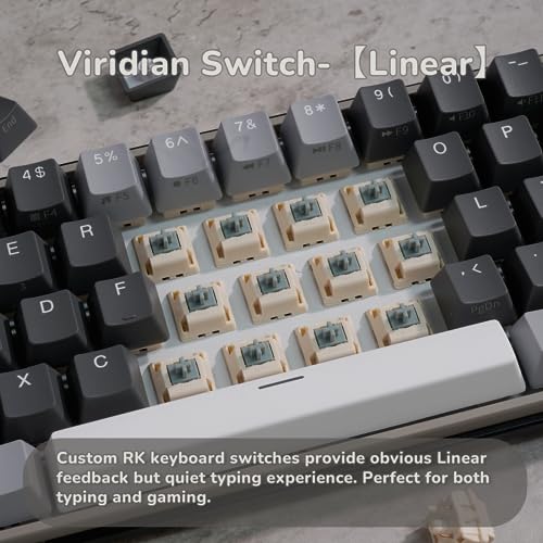 60% Wireless Mechanical Gaming Keyboard with Hot Swappable RGB J3224