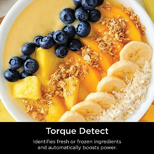 Ninja Detect Power Blender Pro U9818
