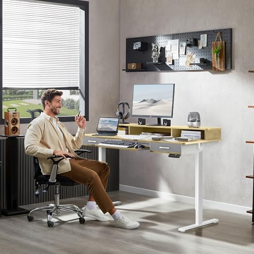 48x24 Inches Electric Standing Desk with 2 Drawers, Height Adjustable, Oak Y1803