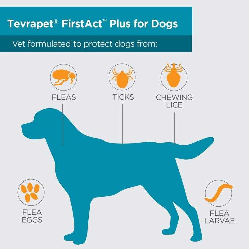 Flea and Tick Prevention Dogs X12000