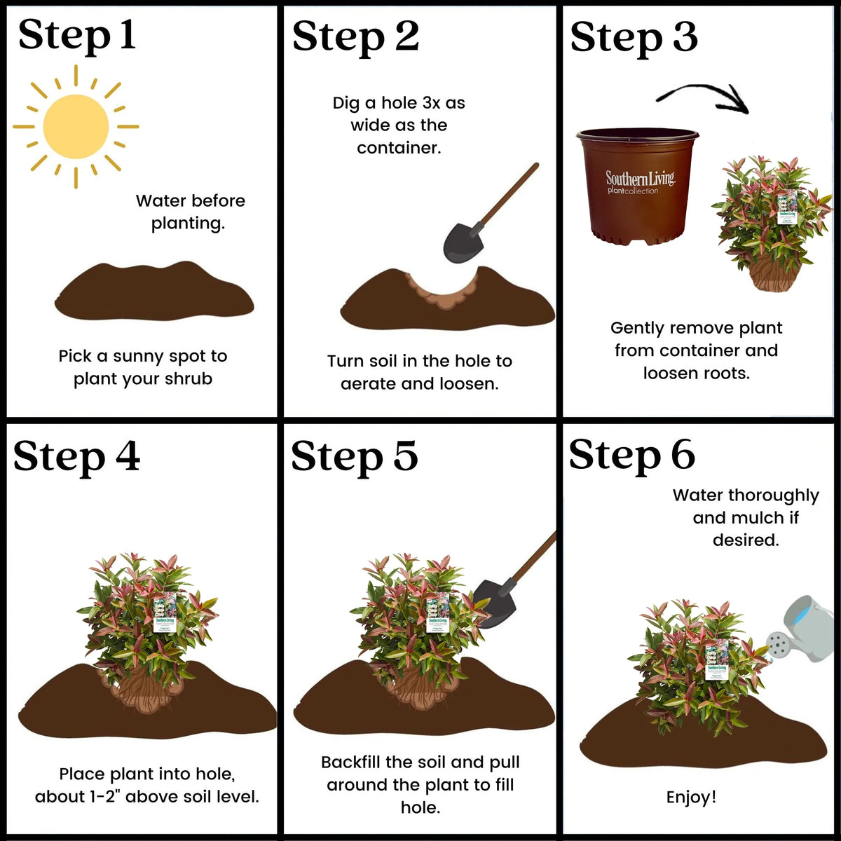 Viburnum Copper Top Live Shrub (2 Gallon) V40945