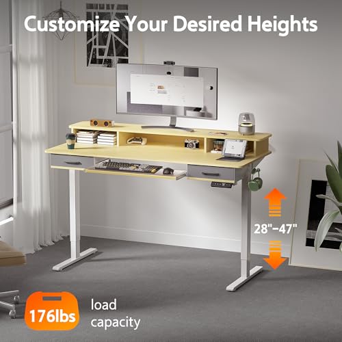 48x24 Inches Electric Standing Desk with 2 Drawers, Height Adjustable, Oak Y1803
