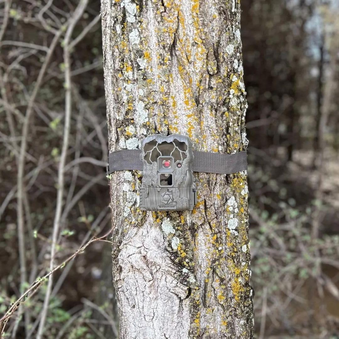 24MP Trail Camera - 2 Pack L2071