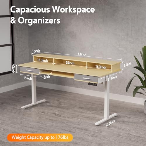48x24 Inches Electric Standing Desk with 2 Drawers, Height Adjustable, Oak Y1803