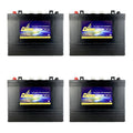 4 Pack 48V 12 Volt Golf Cart Batteries H226