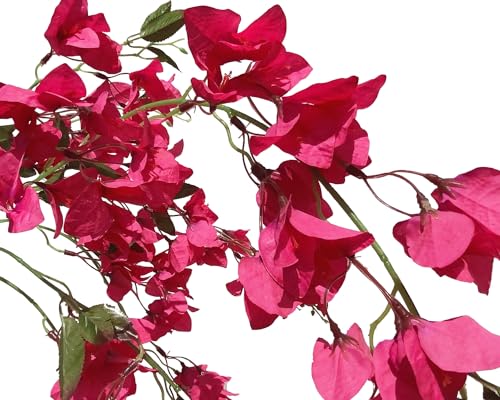 Fuchsia Artificial Silk Hanging Flowers Pack of 2 U367