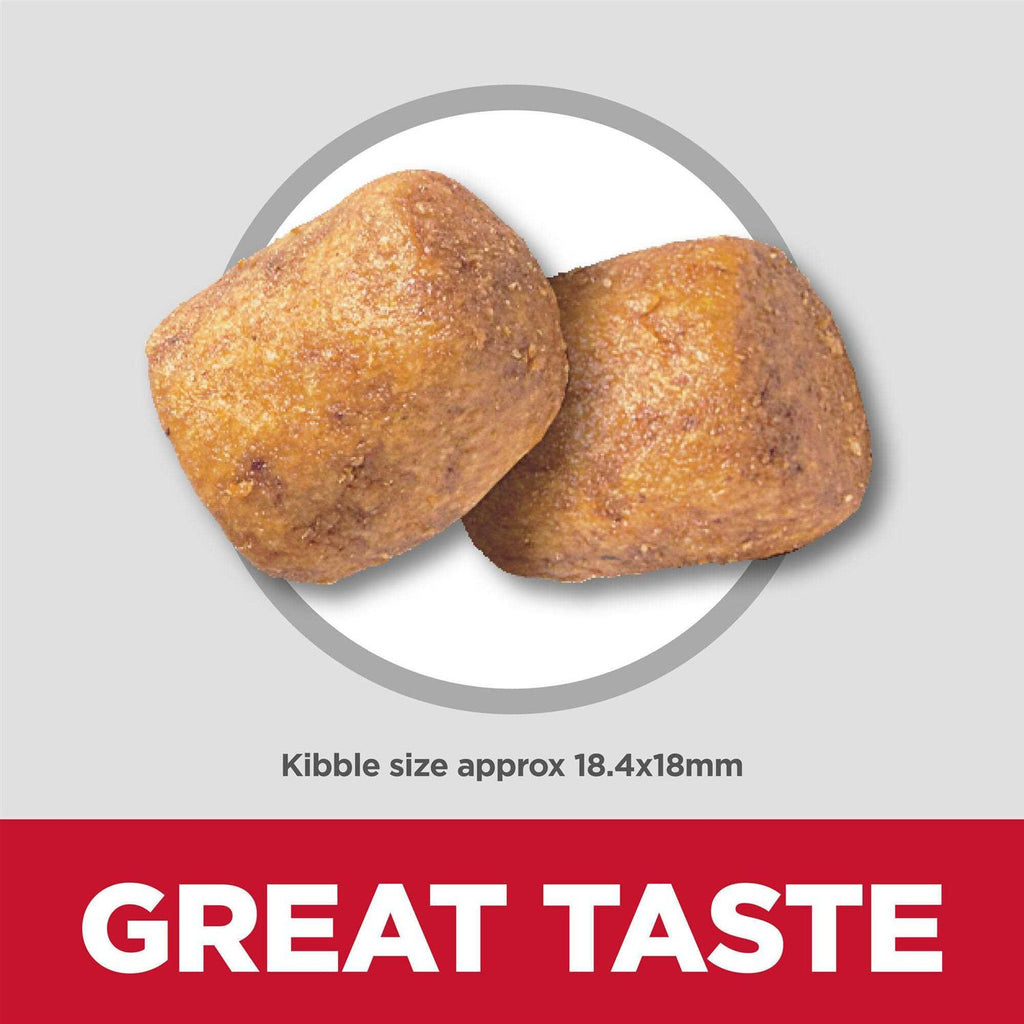 Adult Oral Care Small & Mini Chicken Recipe Dry Dog Food W31408