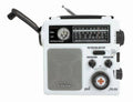 AM/FM Radio F852715