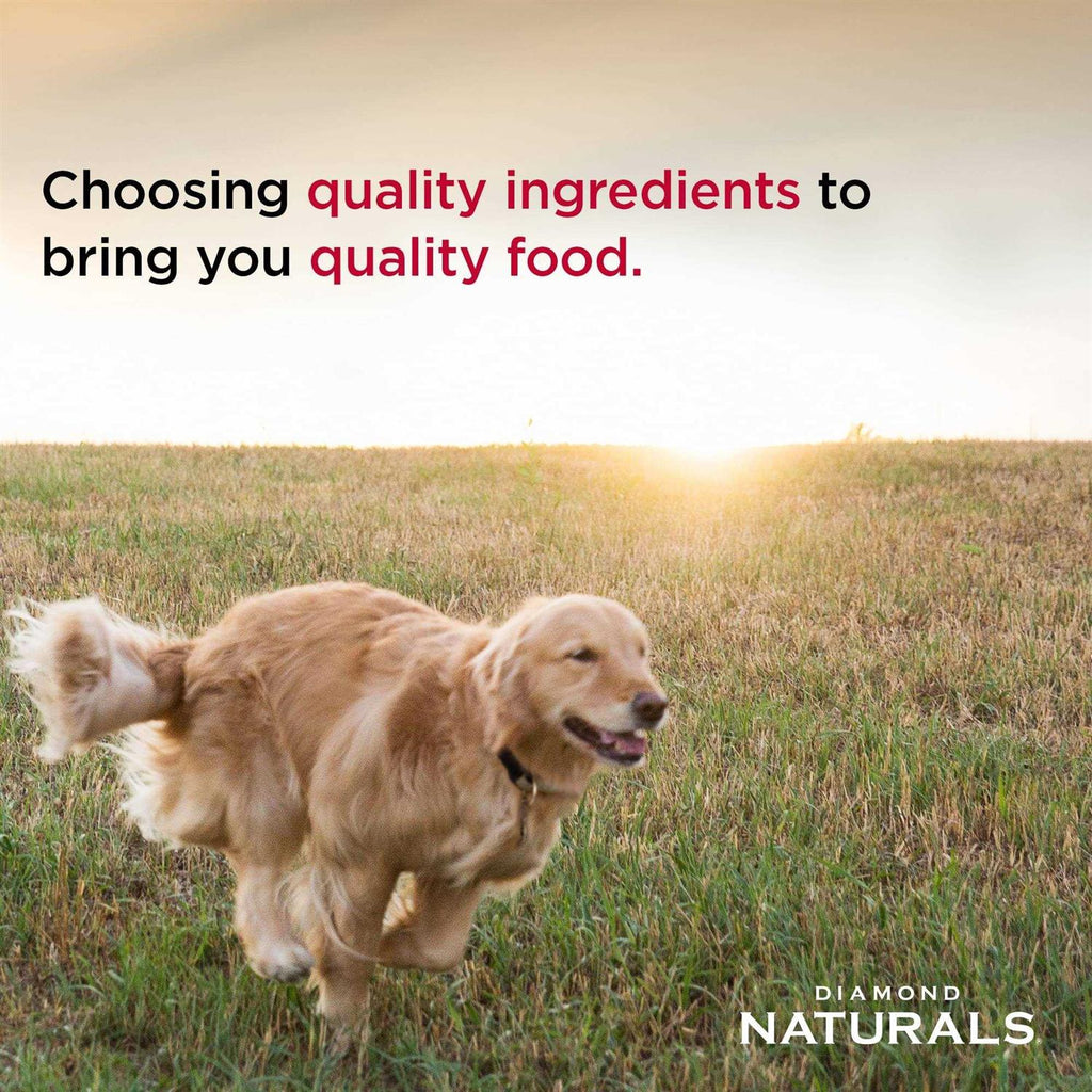 Diamond Naturals Extreme Athlete Dry Dog Food R735292