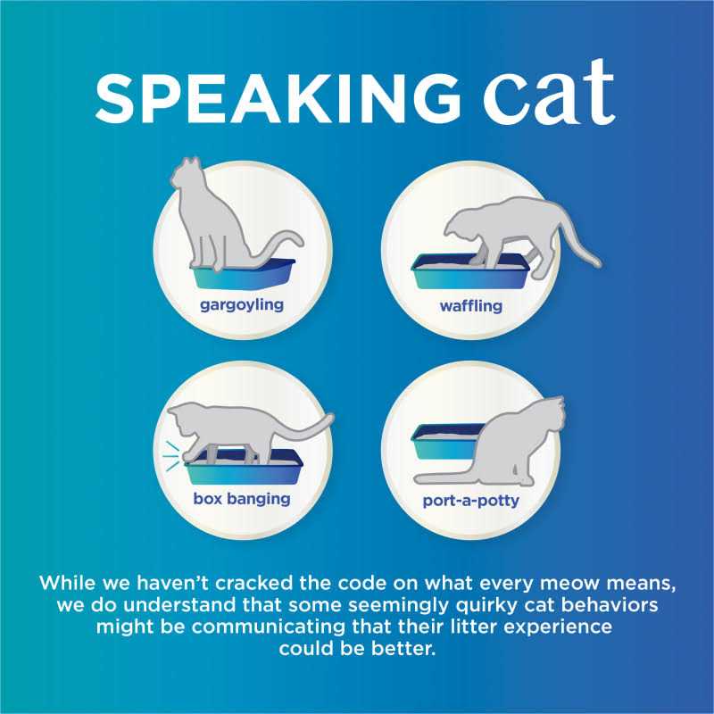 Unscented Clumping Cat Litter N9330