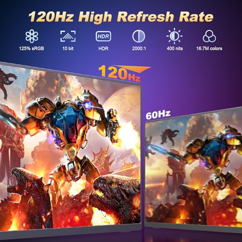 18.5 Inch 120Hz 1080P FHD IPS Portable Monitor A617843
