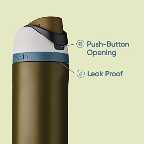 32 Oz Insulated Stainless Steel BPA-Free Water Bottle with Straw G639949
