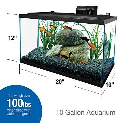 10 Gallons Glass Aquarium F9804