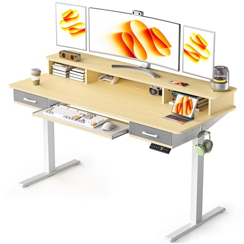 48x24 Inches Electric Standing Desk with 2 Drawers, Height Adjustable, Oak Y1803
