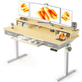 48x24 Inches Electric Standing Desk with 2 Drawers, Height Adjustable, Oak Y1803