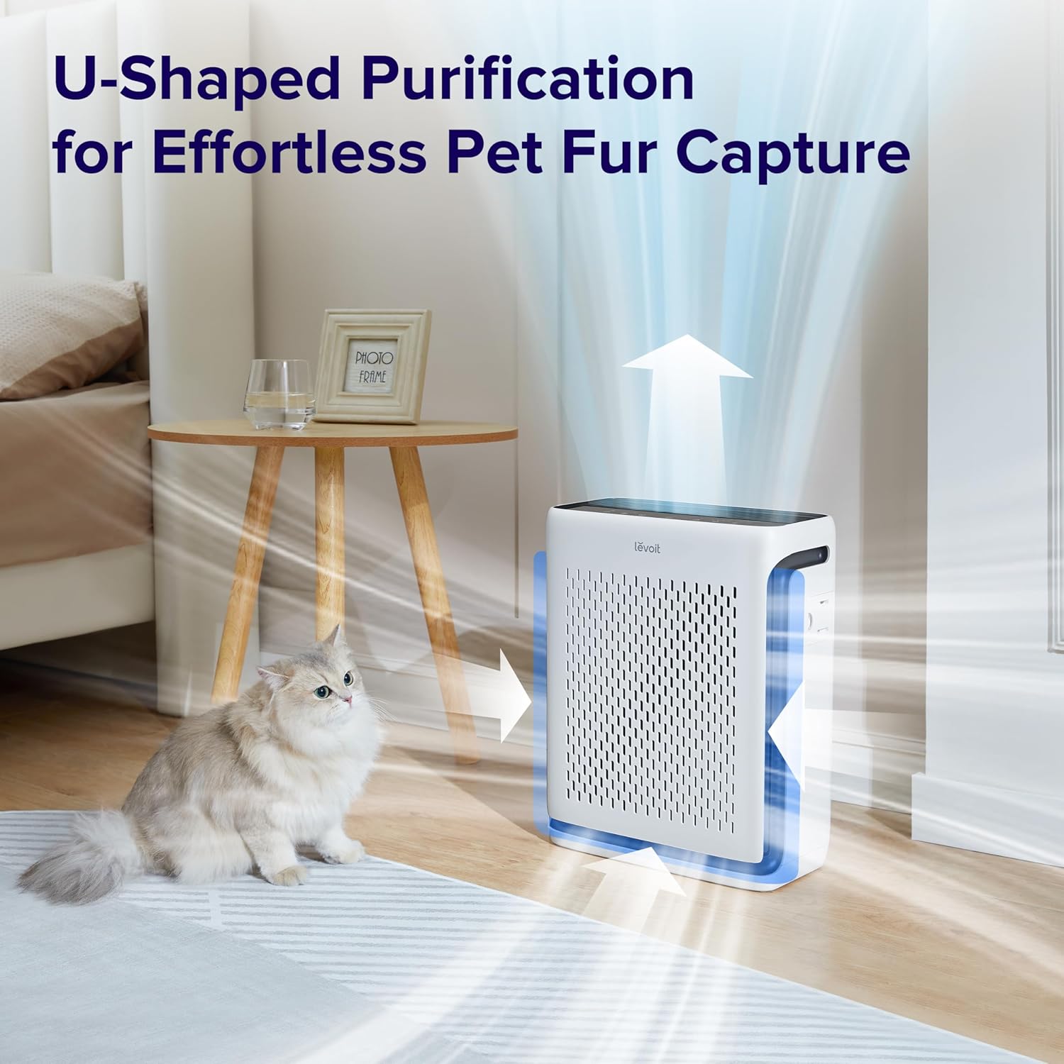 Air Purifier and Replacement Filter Z605452