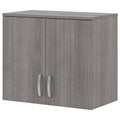 Platinum Gray Wall Cabinet with Doors and Shelves Y769312