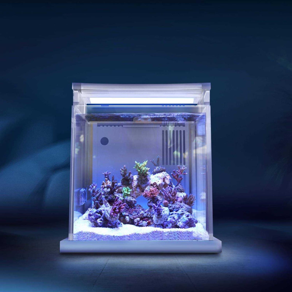 Mini Acrylic Desktop Aquarium with Back Filter System and LED Light T224897