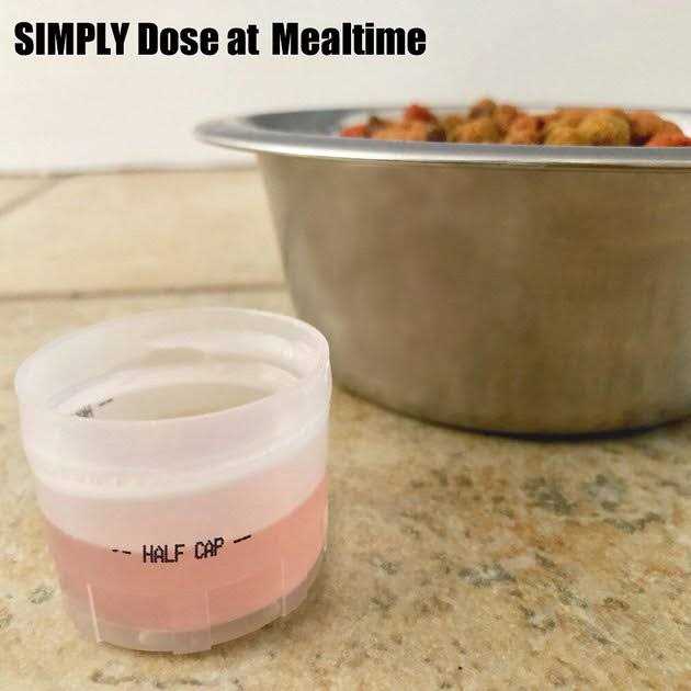 Feline Kidney & Bladder Support Q52065