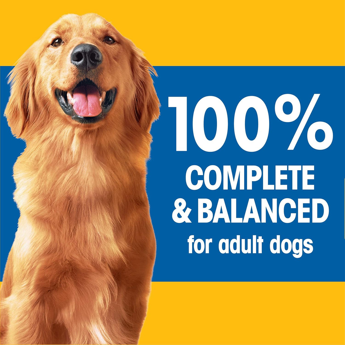 36 lb. Dry Dog Food Roasted Chicken Rice & Vegetable Flavor X854923