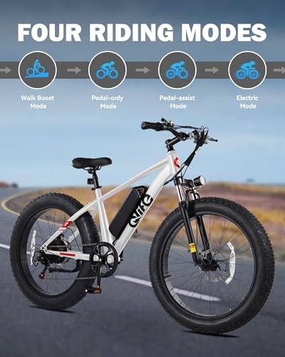 26x4.0 Fat Tire Electric Mountain Bike with 48V 13AH Battery R118